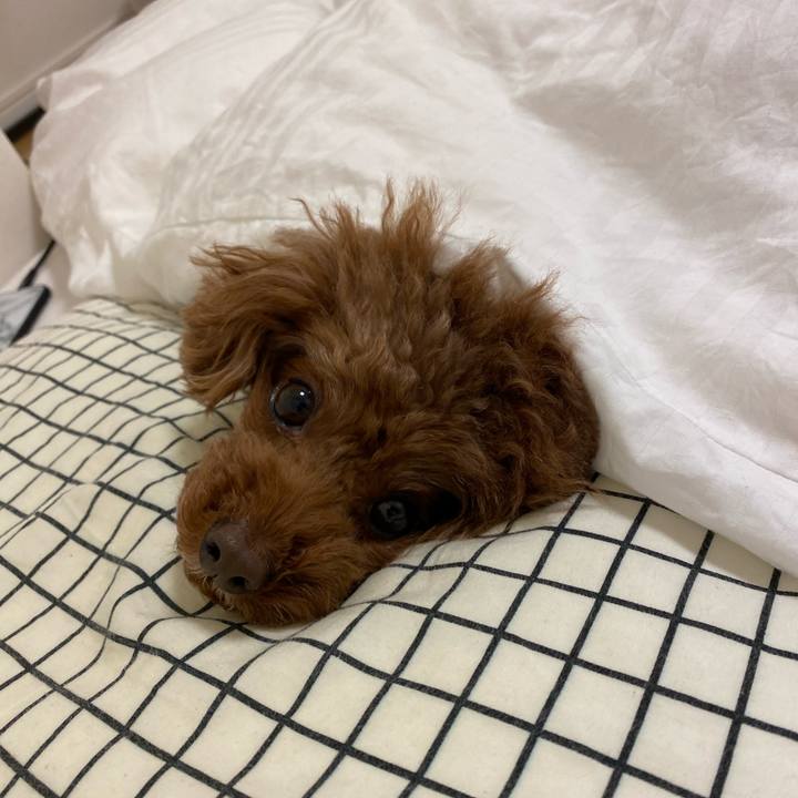 C7276884 a113 41fc bdfe cdcc35405865 1613604724160