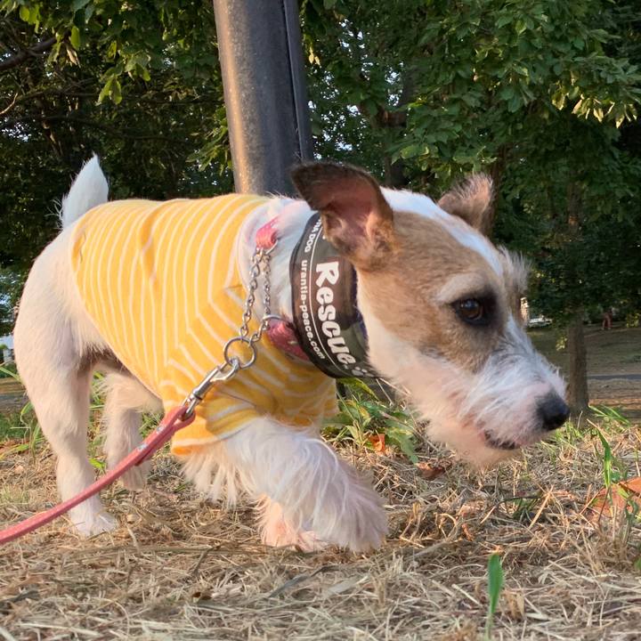 C72795b5 c924 4fa0 b86b 98f5ec0ceb6f 1597745478952