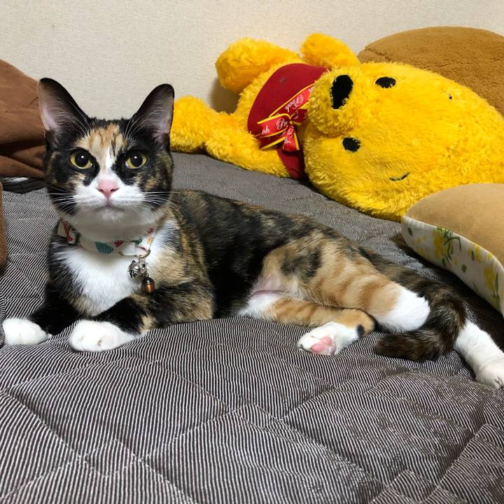 C727c938 4634 485d a91f 26e655af3aac 1562415344022