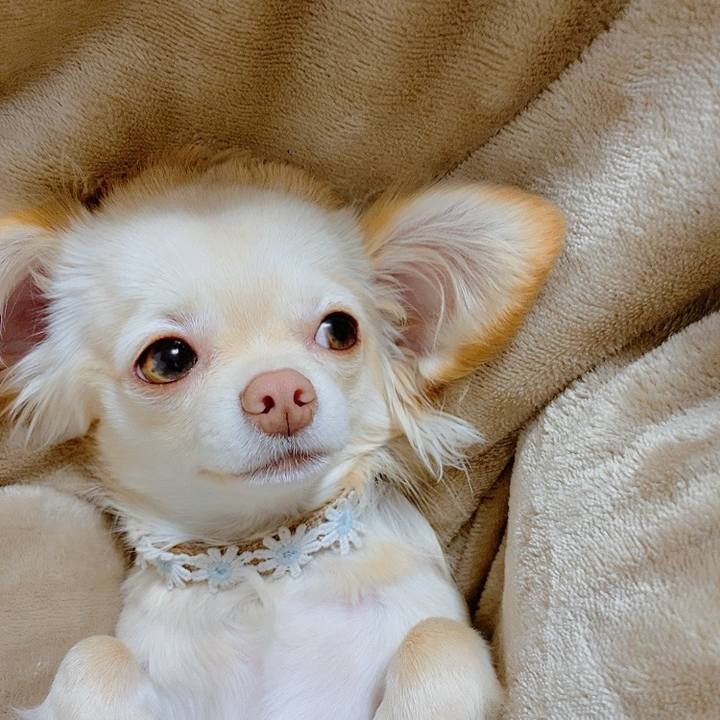 C727eee8 2a1e 4014 95c4 f0b8e4e894de 1613303705980