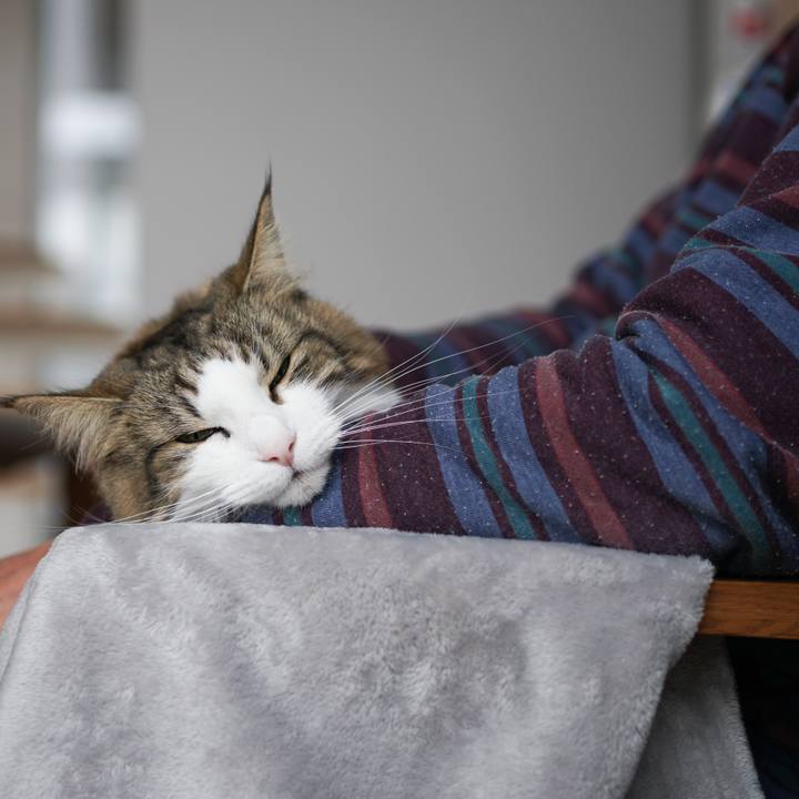 C7280845 6986 49ab 98f9 843166157fe4 1576891958577