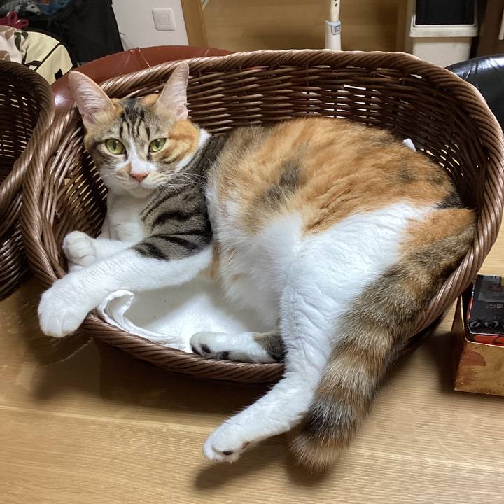 C7281539 9921 4f4a b794 937c54c86bfc 1693874202627