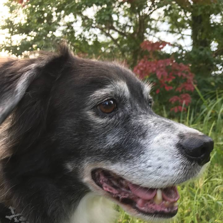 C72845f4 d325 45ff 81f4 24d84e931982 1538487021082