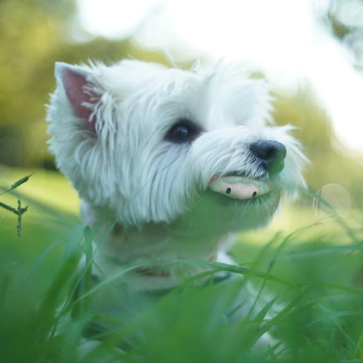 C7284a3d 9220 4d82 9274 85b87d0e9c7e 1533902191347