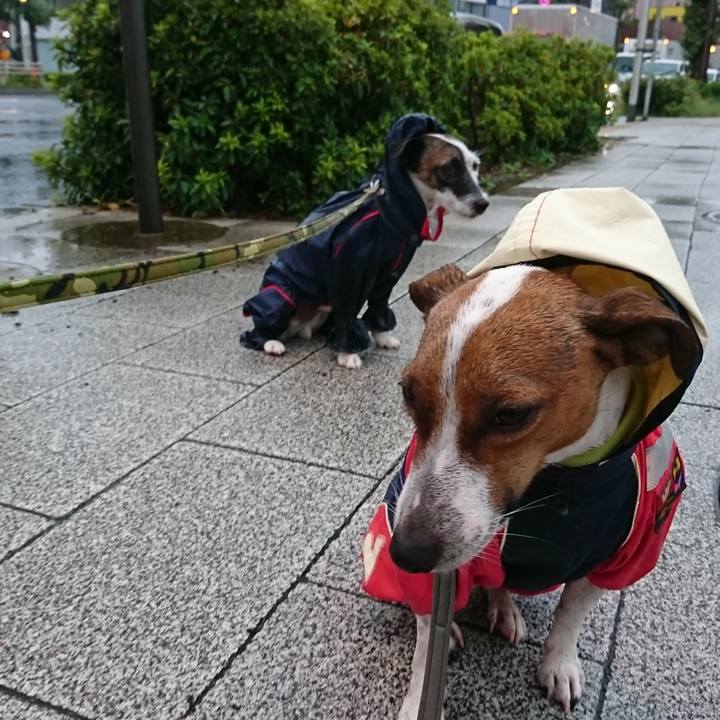 C7289925 cdb4 4721 bf9d b013412cc39e 1568613432850