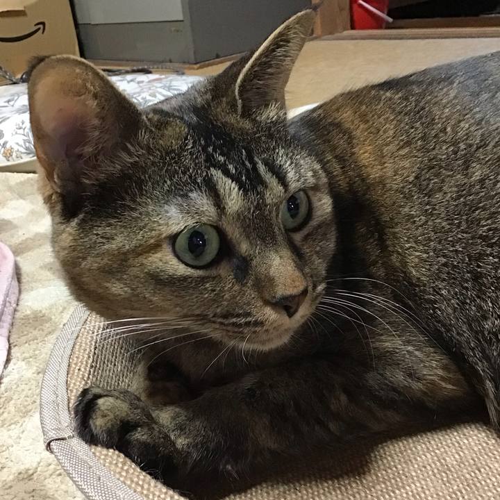 C728c73f dfc1 482c 905c 5435c38e7614 1731497801864