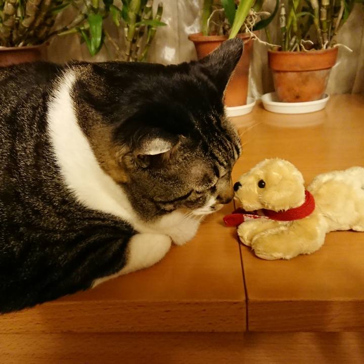 C728f927 231e 4cef 95c2 3feb9c1a8647 1576677582805