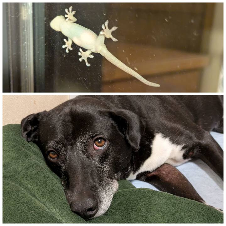 C728fcd0 1cf3 40c3 bdf7 d6ab82e54fe7 1749772593118