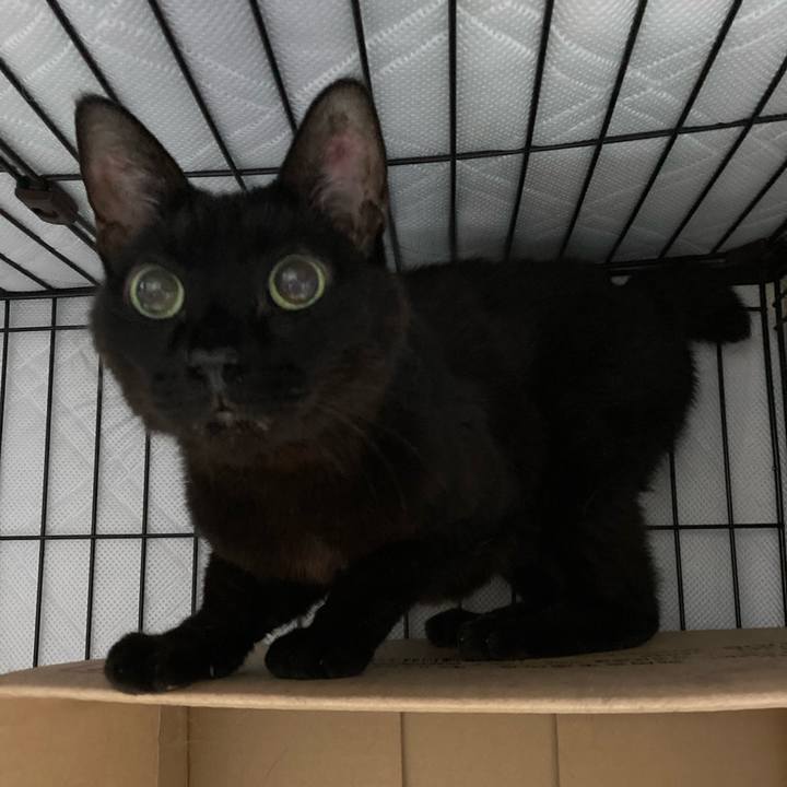 C72920ef e2f7 421c 8d56 6b10aec4f2db 1596702131977