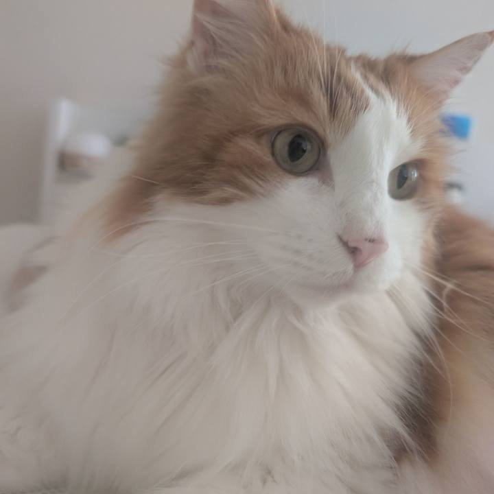 C7293e49 b7d9 4457 a09c b4c9be7553c7 1749773198142