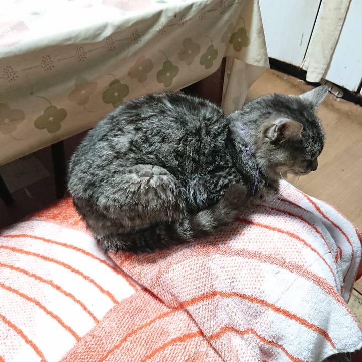 C7293ffd 8fab 4443 a37f a560b8c98d57 1583960869591