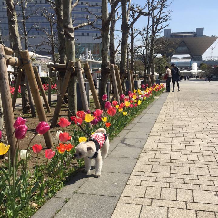 C729a369 e05b 41a7 a039 1edb6e547965 1522498263804