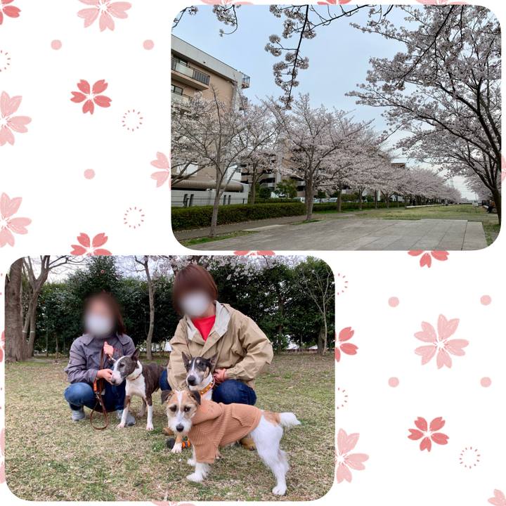 C729cb6c 5fc3 4dc4 b8fc fcddd86821b7 1616851353228