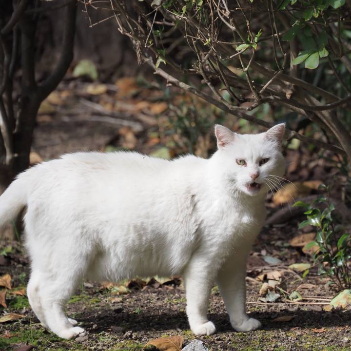 C72a23af ab52 4e78 ab38 e4c40d8d146f 1603684809417