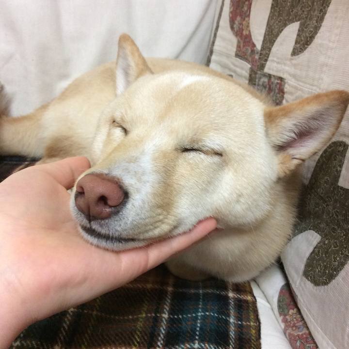 C72a2683 f668 477f 8ba9 b214279970a6 1515932125370