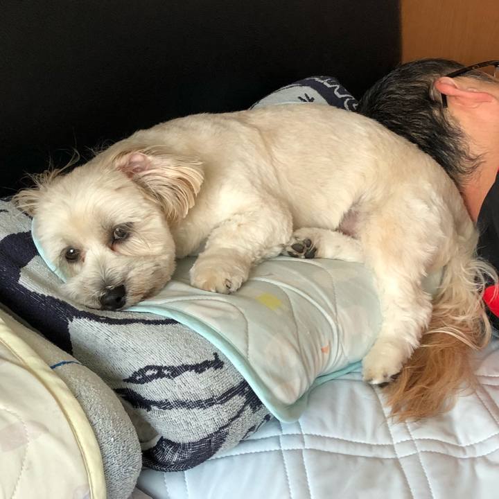 C72a3917 be7d 4958 a8dd c8542492997f 1508035995995