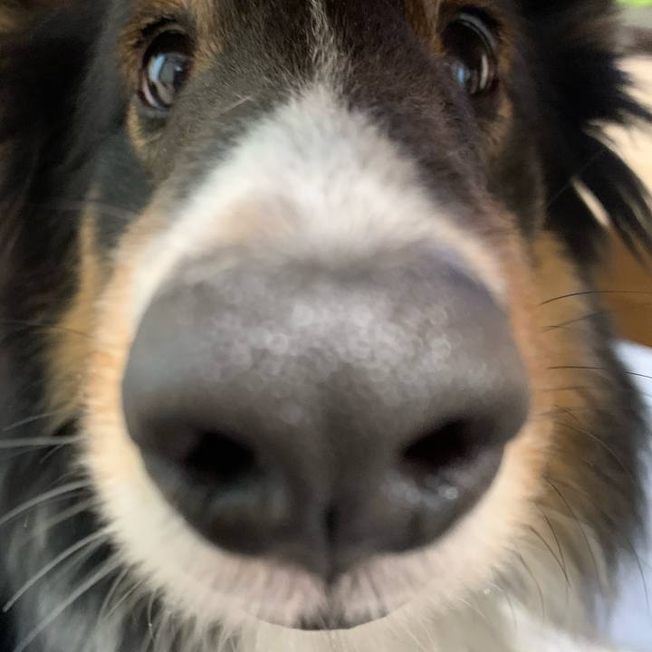 C72a7e20 4946 4d9c a27e 0827dbb0c43f 1582329520224