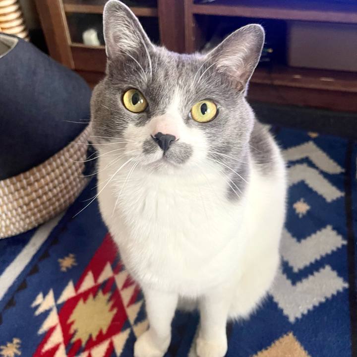 C72a8249 59d3 4925 8527 5546ccfbd6e5 1681613571685