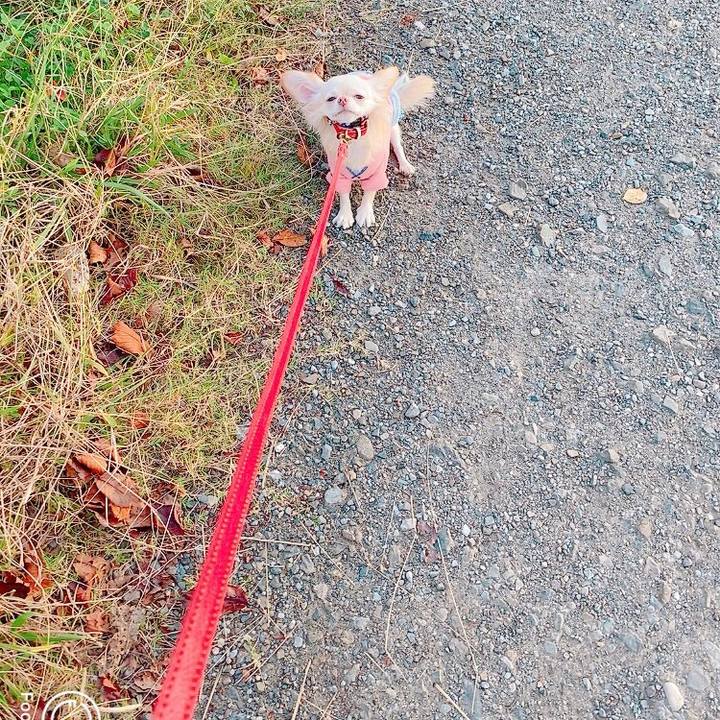 C72a8d17 e706 43e1 8833 0ce9abb21d10 1635410249700