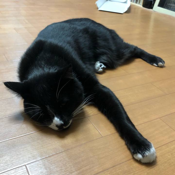 C72af562 0fff 413d 880f 7d25c79db37a 1607483609968