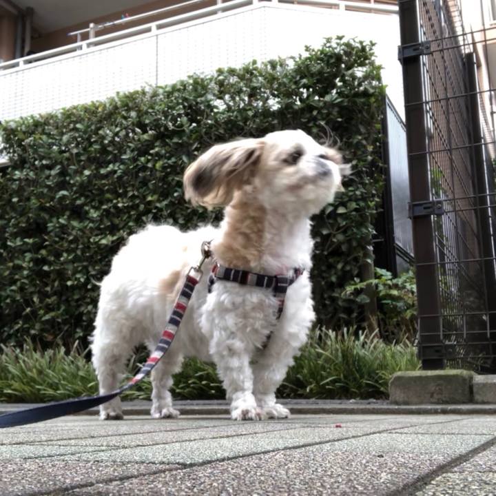 C72b2927 065c 4452 acba c615ff503c9d 1541714185249