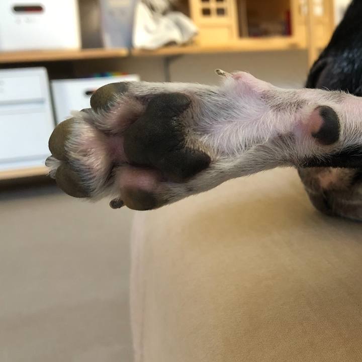 C72b6cf0 485a 40ae 82b6 7de138b6ad52 1662621364233