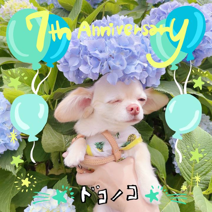 C72b774f 114d 4a39 af79 d7c4a390301b 1685957372897