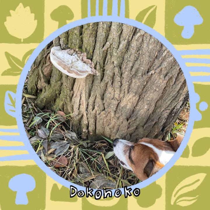 C72b79c4 b789 4991 85c7 ab954131da19 1764131778718