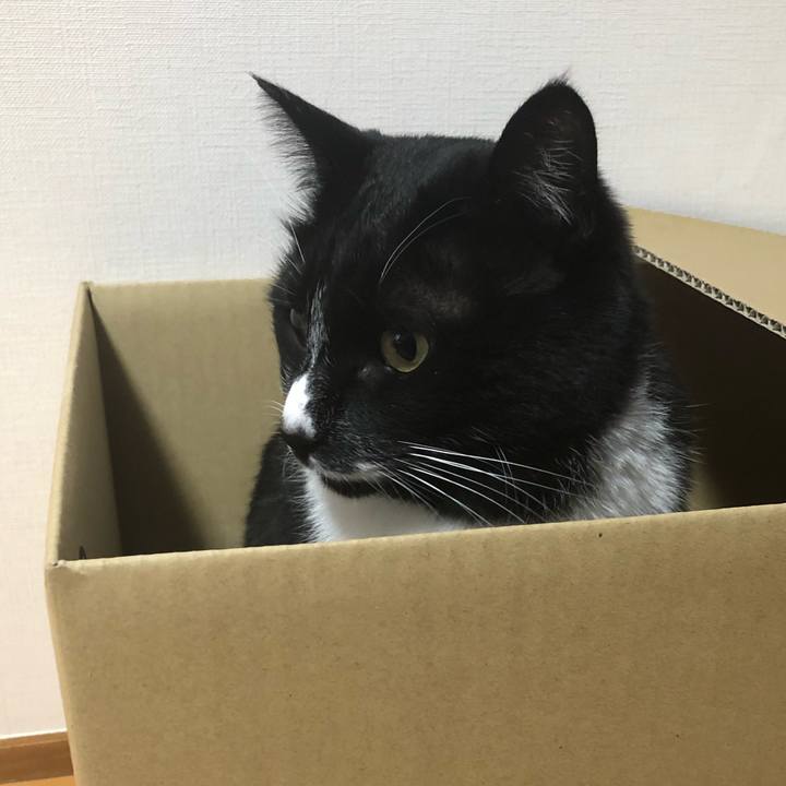 C72c16ea 5aba 48b0 9de5 519e5bf8d944 1645597216416