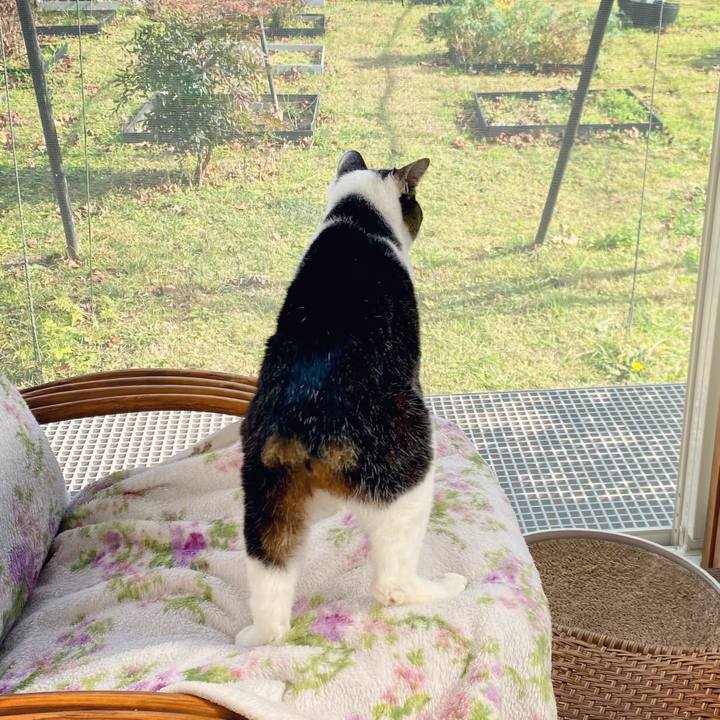 C72c47b4 7b77 4d47 a9a6 c2ffa262d97a 1606364017417