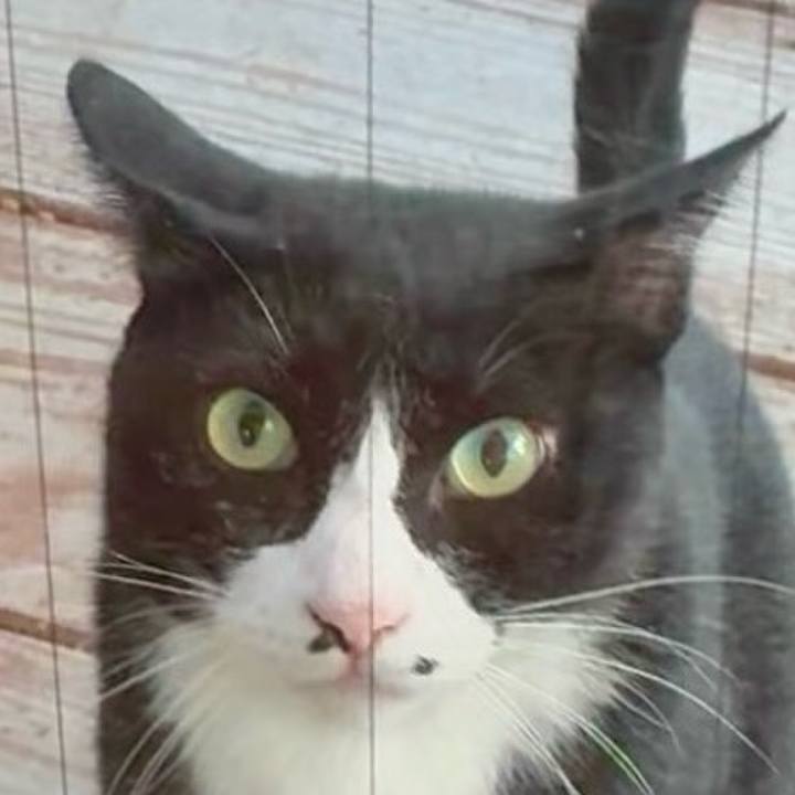 C72c5f06 3df6 4991 9f1c 63d7d43b50d8 1756807372533