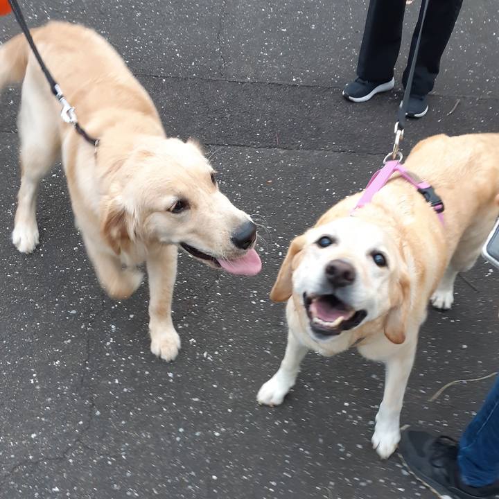 C72ca2f4 be30 42a9 ab5e 90f7bc2482b7 1660538560542