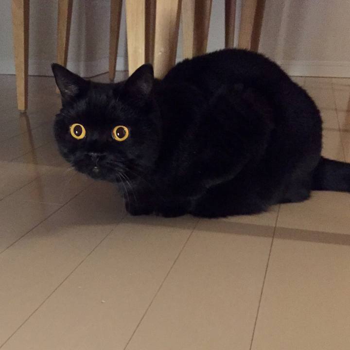 C72ca409 723d 48a4 87ed 19295b087bee 1568641521786