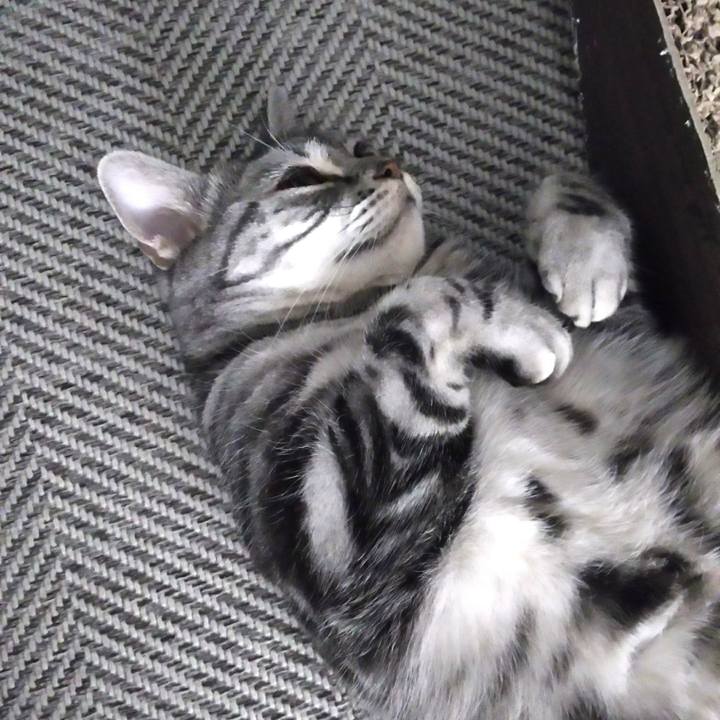 C72cb8fe ca20 4a60 bd67 901ca6ddb208 1608589734842