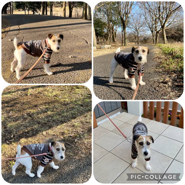 C72d00cc 9e33 496a 8e7c 02f5c250697a 1676634283328