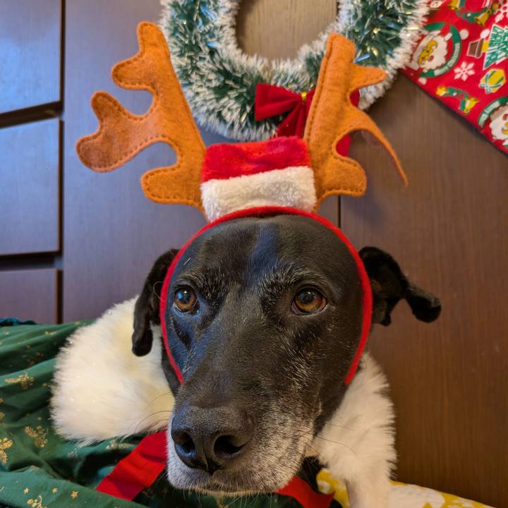 C72d113e 79eb 46e1 8472 4ad075c3ed3c 1735083807285