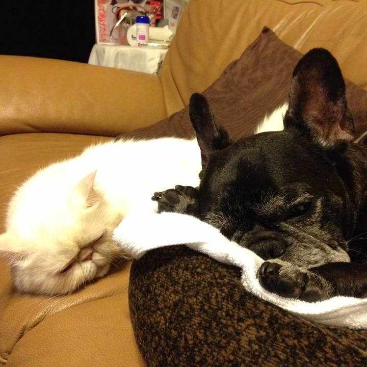 C72d56dd 8889 440a 88b8 360b58ea7c4e 1769079851864