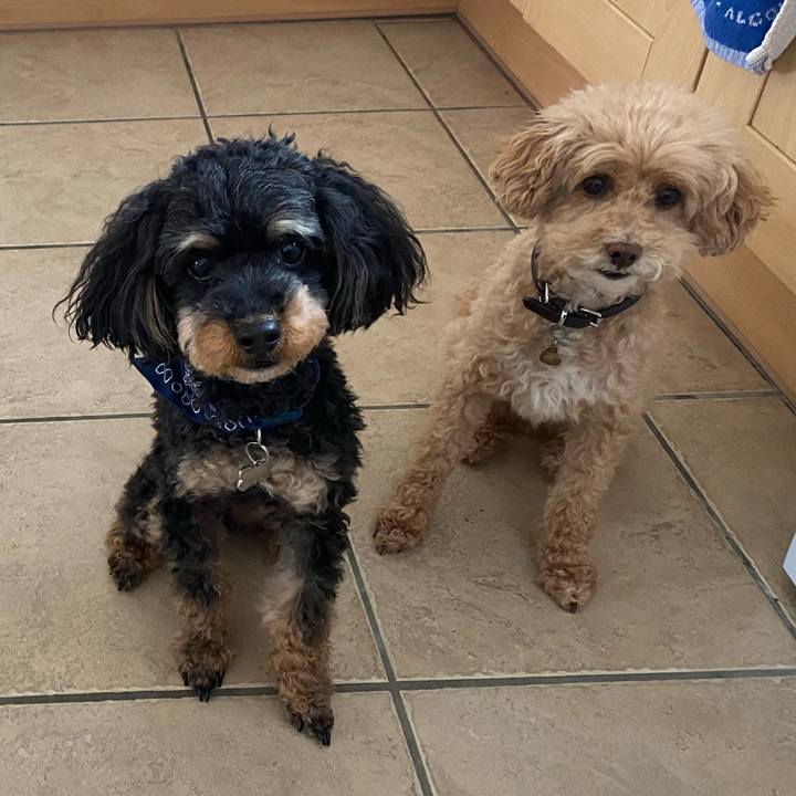 C72d7881 575a 486d 9d84 9c2852e1ba6e 1624523520549