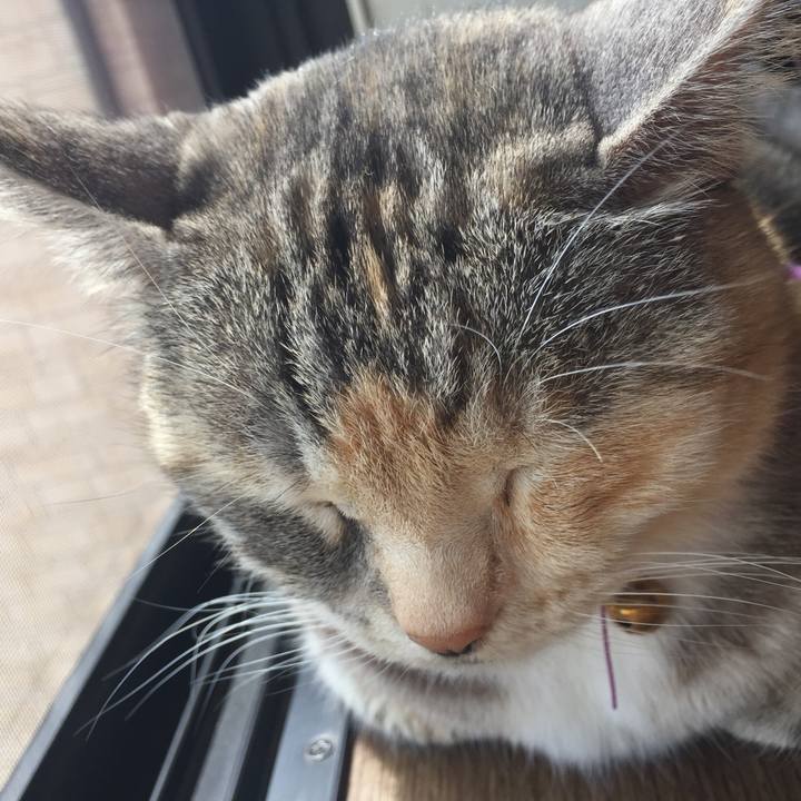 C72d9af7 e4cd 4660 968d 5aa137c1aec5 1555735086492