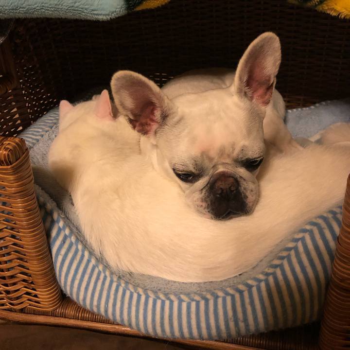 C72db512 217e 4d68 84ea 32c014b53c44 1584886460422