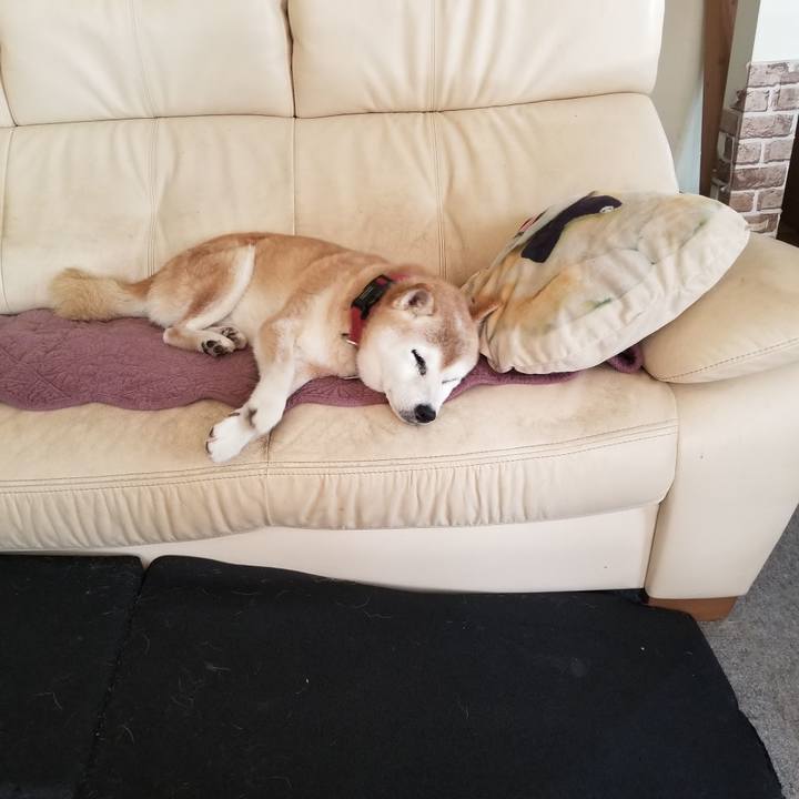 C72db7d9 1617 4c56 823c d9a84613e93d 1757986951399