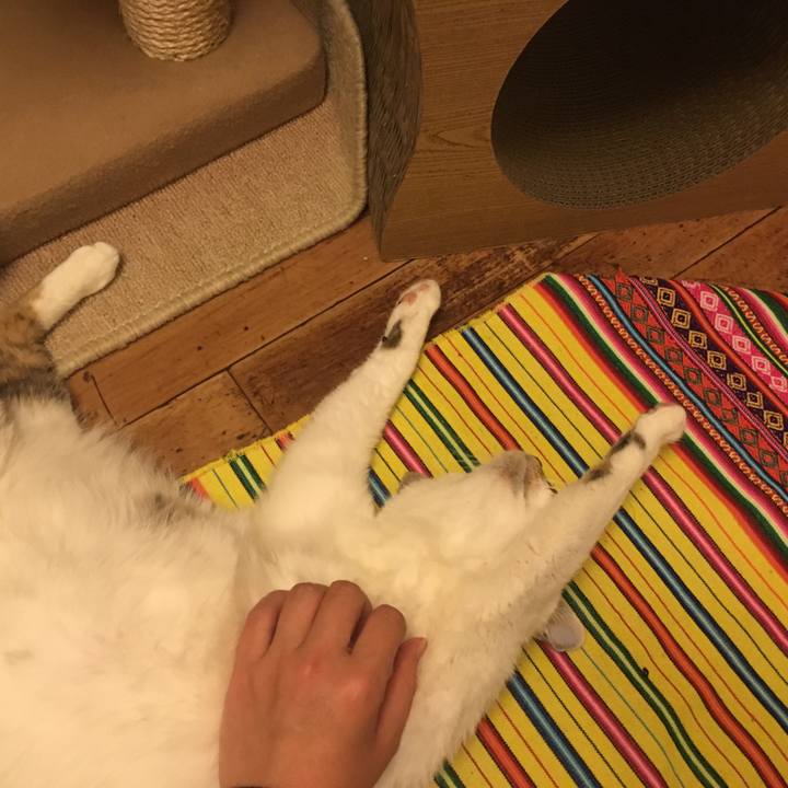 C72de250 ac2f 44d1 b912 ce62320a81ed 1529597115668