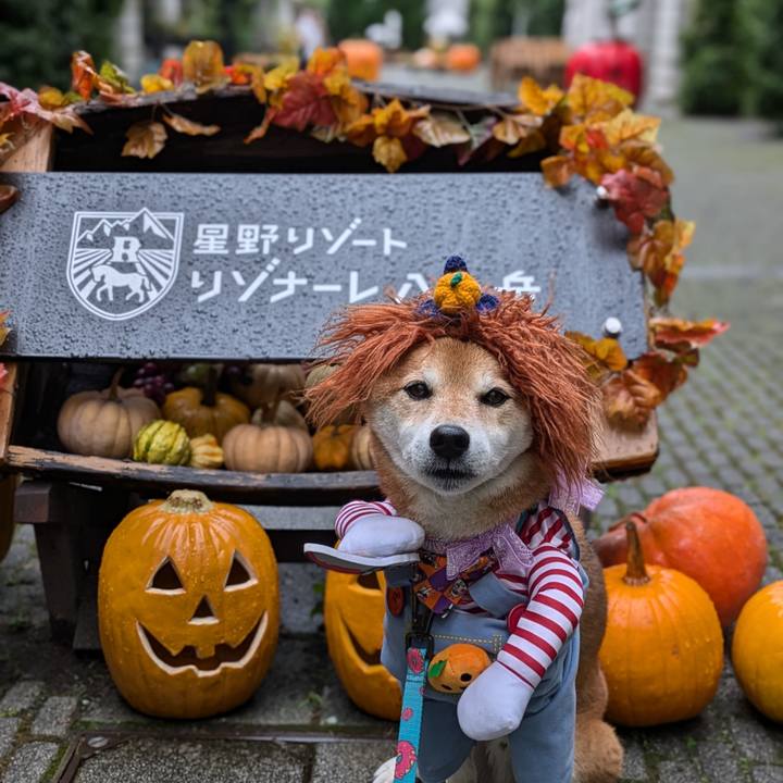 C72e27a9 1a0c 44ac 91fe 7c80e632c0de 1728042002732