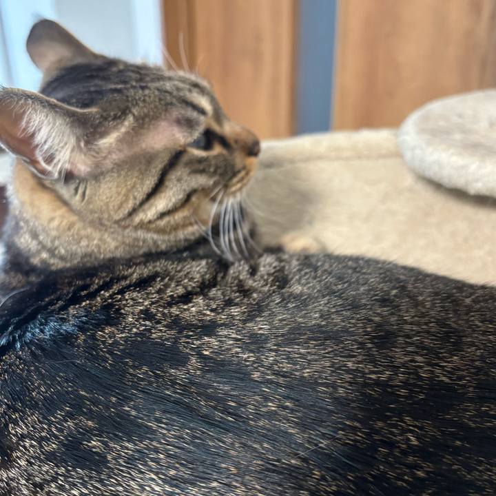 C72e3a90 db91 4300 8eef 3f3f95e406a8 1770346368353