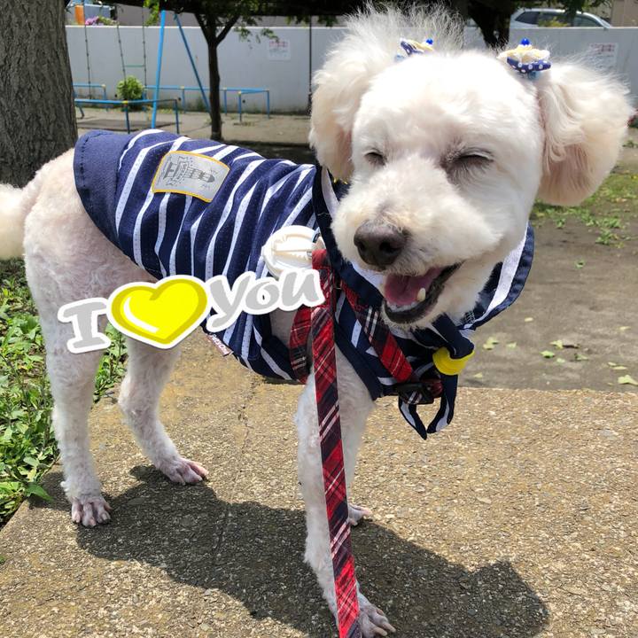 C72e3edd 7dfc 447b a36b ab7552d76204 1529766363694