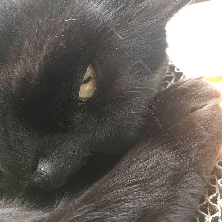 C72e5252 7e56 4392 b1ca 471194750b72 1526090711053