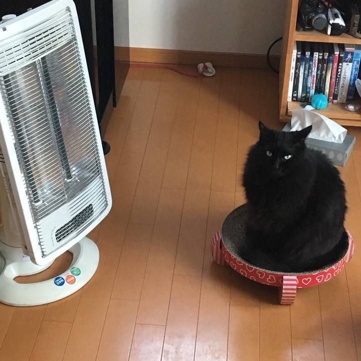 C72e5f39 e116 44c7 8db9 78c3b63a3f16 1572996509680