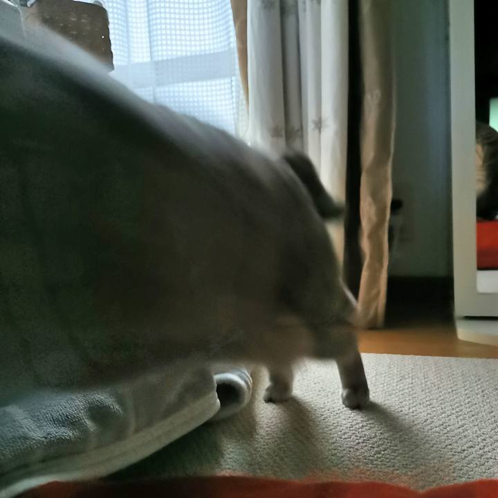 C72e8347 4faf 4f2e aed8 30afa1c0a1cd 1617524519435