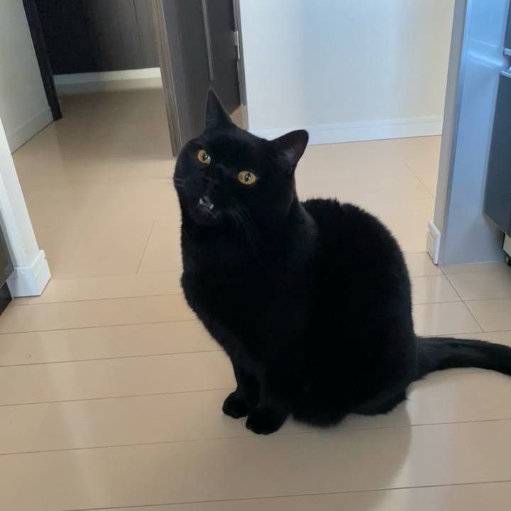 C72e88c2 460e 410b b293 11a431c06798 1735520563073