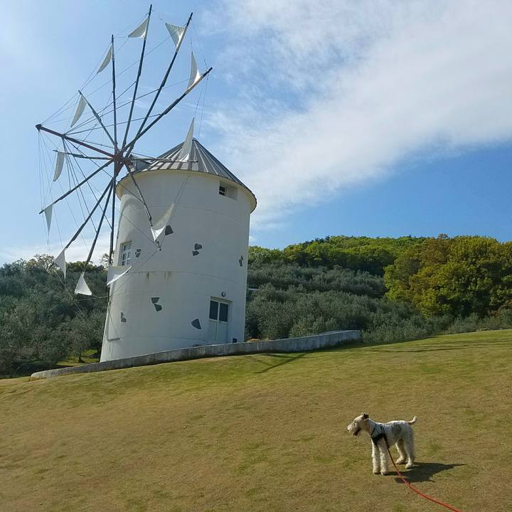 C72e93da 5953 46c2 8bd9 f61403de9706 1523620873512